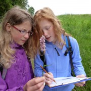 Nature Caching